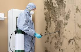 Yaphank, NY Mold Removal & Remediation Company